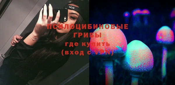 apvp Алзамай