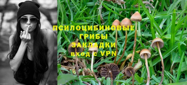 ALPHA PVP Рославль