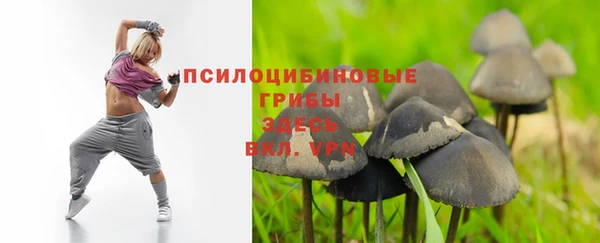 тгк Алексеевка