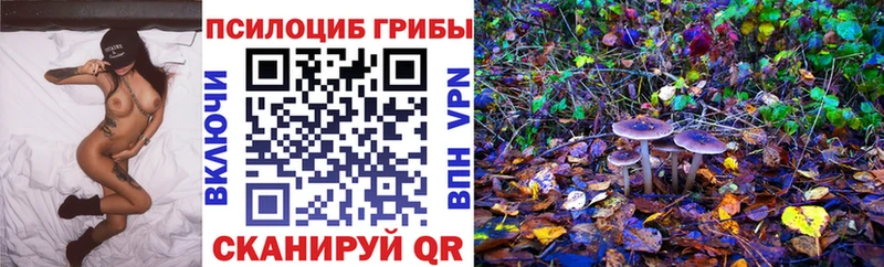 KRAKEN зеркало Апшеронск Галлюциногенные грибы Cubensis